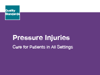 The clinical guide cover for pressure injuries