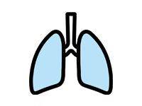 image des poumons