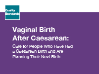 The clinical guide cover for Vaginal Birth After Caesarean