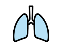 image of lungs