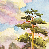water-colour of pine trees and clouds in the sky