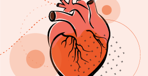 illustration of a heart